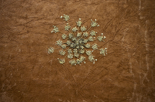 Superficie de cuero marrón con diseño floral hecho de ramas y flores secas, destacando prácticas sostenibles y éticas en la industria del cuero italiano para fabricación de bolsos.